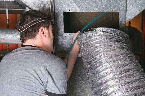 Best Local Air Duct Cleaning Services  in Delta Junction, AK