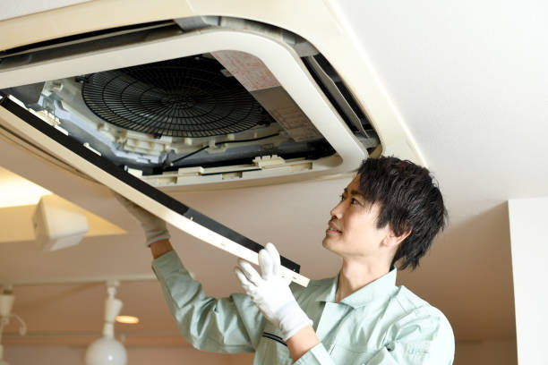 Home Air Vent Cleaning in Delta Junction, AK