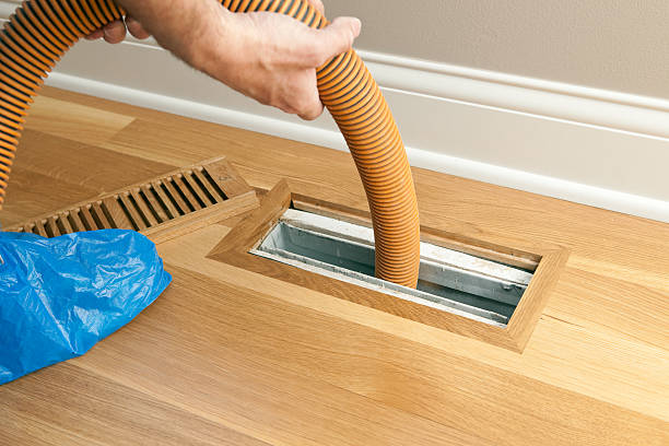 Best HVAC Duct Inspection Services  in Delta Junction, AK